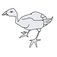 drawing web design